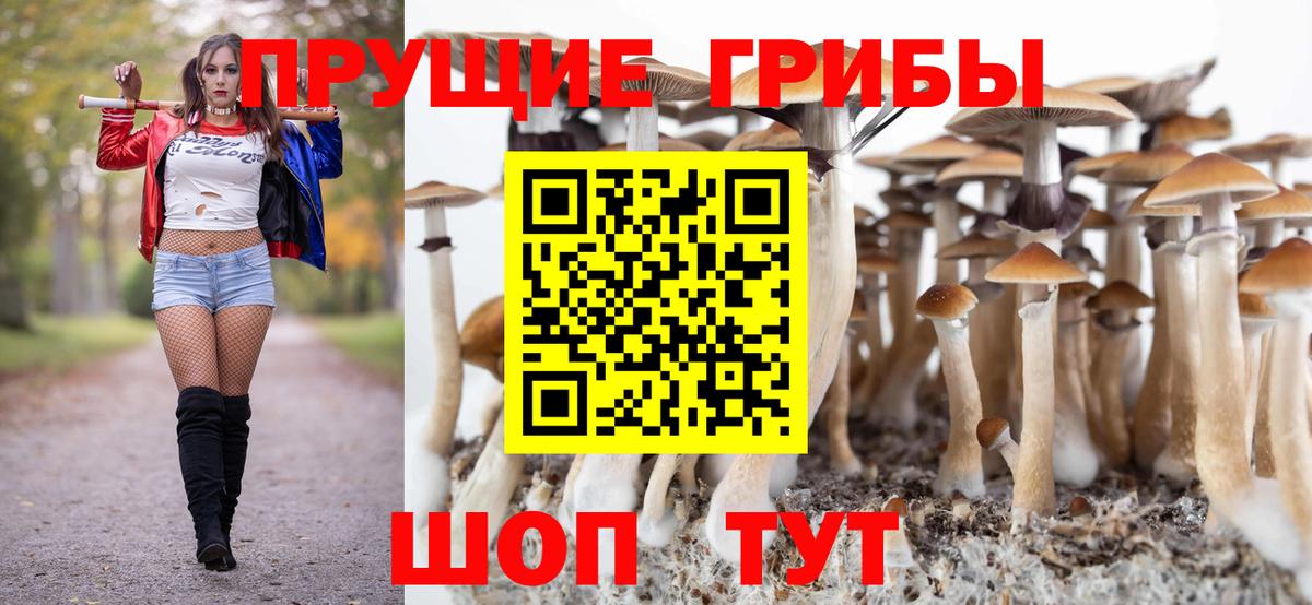 Тюмень  Галлюциногенные грибы мухоморы  Вход с VPN  Галлюциногенные грибы Magic Shrooms 