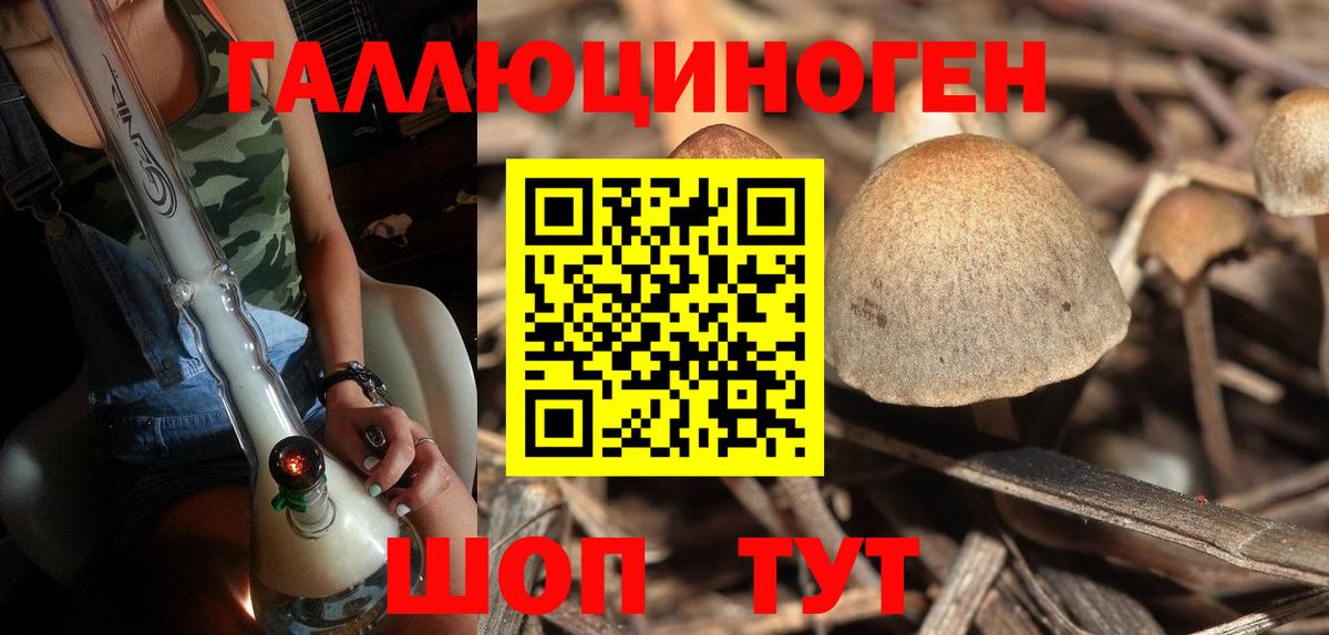 Галлюциногенные грибы Cubensis Тюмень
